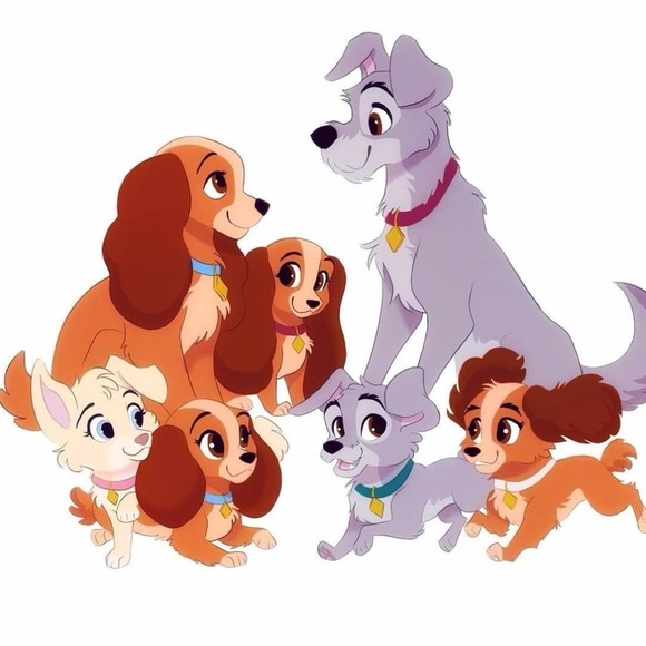 Thank you, I appreciate you checking out my closet. - Picture 14 of 16